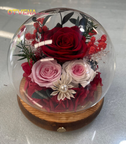 2026 new arrival Preserved Flower-5