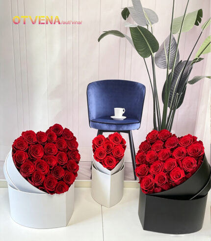 OTVENA Preserved fresh flower-Rose 2