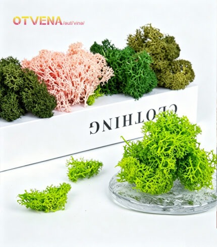 Moss OTVENA Preserved fresh flower